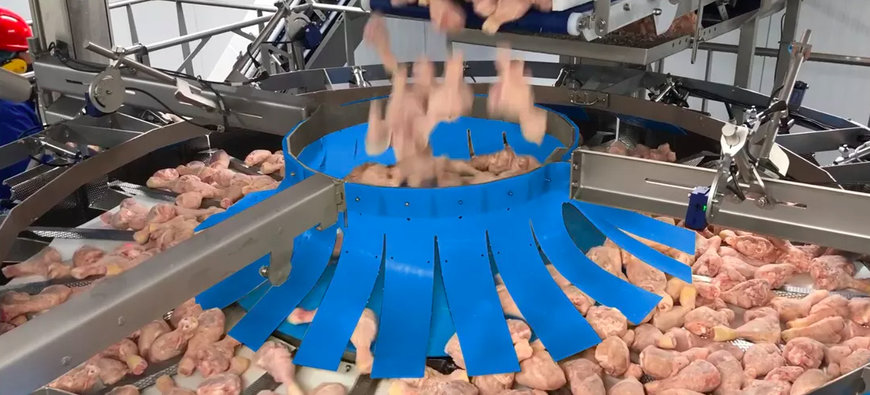 MAREL PRESENTS NEW MULTIHEAD WEIGHER IQF LARGE